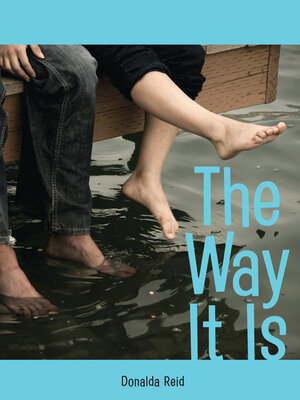 cover image of The Way It Is